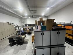 REVV (D22), Factory #462987581